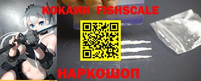гашик Тверь