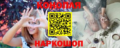 гашик Тверь